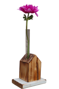 Casetta in legno colorata monofiore