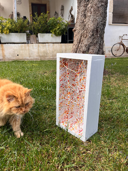 Foresta di betulle piccolo