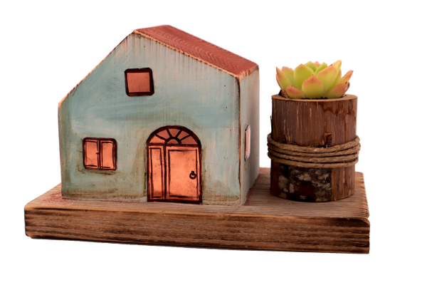 Casetta in legno colorato e piantina grassa