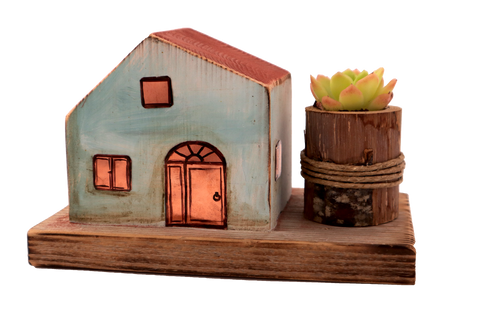 Casetta in legno colorato e piantina grassa