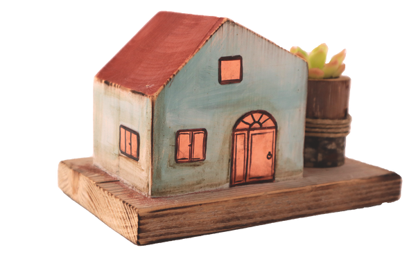 Casetta in legno colorato e piantina grassa