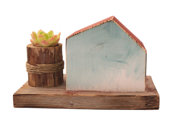 Casetta in legno colorato e piantina grassa