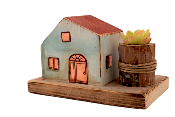 Casetta in legno colorato e piantina grassa