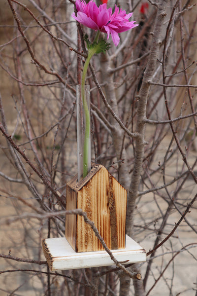 Casetta in legno colorata monofiore