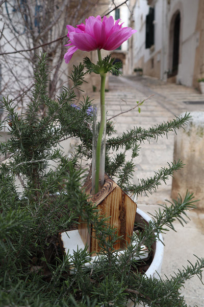 Casetta in legno colorata monofiore