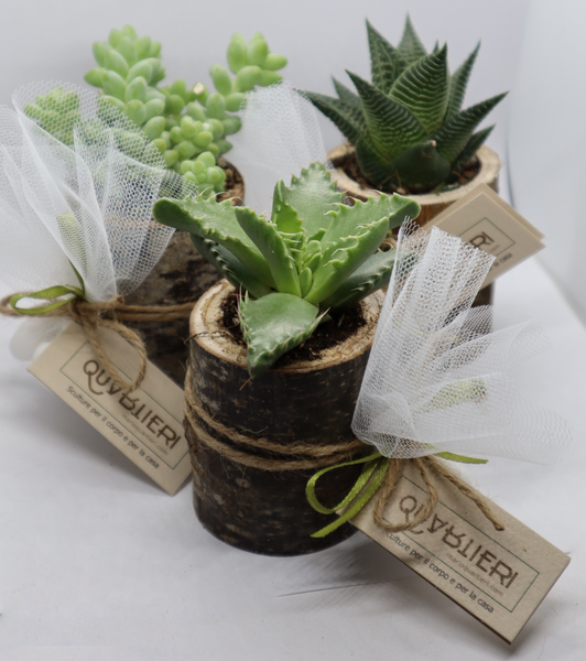 QUARTIERI Segnaposto cactus pianta grassa in legno di castagno