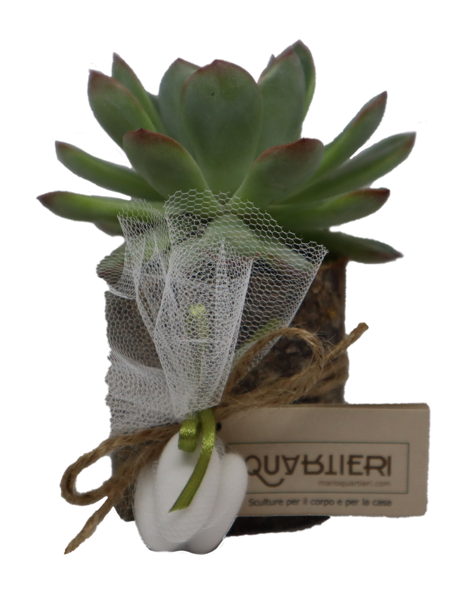 QUARTIERI Segnaposto cactus pianta grassa in legno di castagno