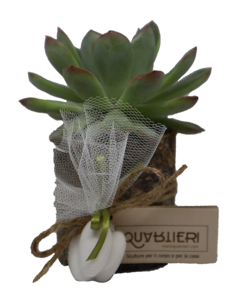 QUARTIERI Segnaposto cactus pianta grassa in legno di castagno