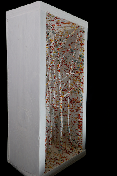 Foresta di betulle piccolo