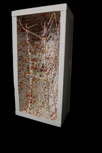 Foresta di betulle piccolo